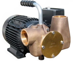 Hovedbilde Jabsco lense/flytte pumpe 40L/min 220v 53041-2003-230